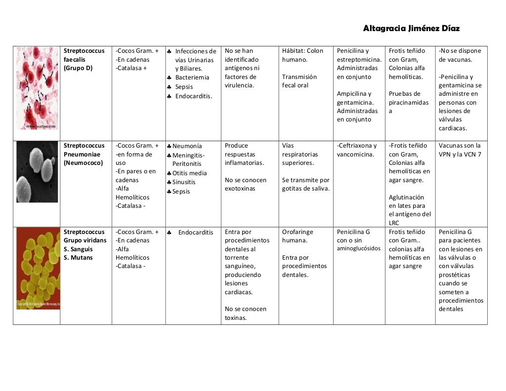 Tabla de bacterias Gram positivas y