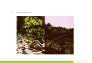 |
03       GALERÍA DE IMÁGENES




                               INTOTHEWILD RESIDENCIA
 