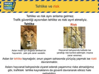 Tehlike ve risk
Tehlike ve risk aynı anlama gelmez.
Trafik güvenliği açısından tehlike ve riski ayırt etmeliyiz.
Tehlike
Risk

Aslan insan için doğada tehlikeli bir
hayvandır, pek çok zarar verebilir.

Hayvanat bahçesinde kafeste ise
yarattığı risk kontrol edilmiştir, insana
zarar veremez.

Aslan bir tehlike kaynağıdır, onun yaşam sahasında yürüyüş yapmak ise riskli
davranmaktır.
Aslanı hayvanat bahçesinde ziyaret ederek yaşamımız riske atmadığımız
gibi, trafikteki tehlike kaynaklarını da güvenli davranarak etkisiz hale

 