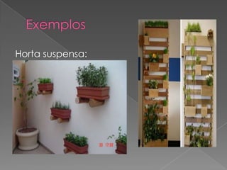 Horta suspensa:
 