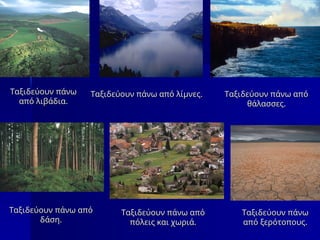 Ταξιδεύουν πάνω
Ταξιδεύουν πάνω
από λιβάδια.
από λιβάδια.
Ταξιδεύουν πάνω από
Ταξιδεύουν πάνω από
δάση.
δάση.
Ταξιδεύουν πάνω από
Ταξιδεύουν πάνω από
θάλασσες.
θάλασσες.
Ταξιδεύουν πάνω από λίμνες.
Ταξιδεύουν πάνω από λίμνες.
Ταξιδεύουν πάνω από
Ταξιδεύουν πάνω από
πόλεις και χωριά.
πόλεις και χωριά.
Ταξιδεύουν πάνω
Ταξιδεύουν πάνω
από ξερότοπους.
από ξερότοπους.
 