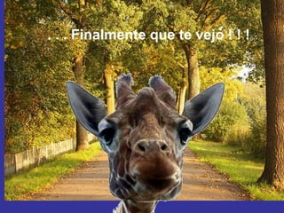 . . . Finalmente que te vejo ! ! ! 