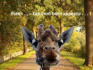 mas . . . – tás com bom aspecto . . . !  