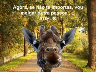 Agora, se não te importas, vou melgar outra pessoa . . . . . . ADEUS ! ! ! 