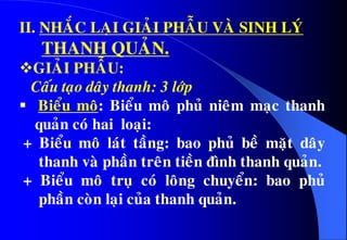 II. NHAÉC LAÏI GIAÛI PHAÃU VAØ SINH LYÙ
THANH QUAÛN.
GIAÛI PHAÃU:
Caáu taïo daây thanh: 3 lôùp
 Bieåu moâ: Bieåu moâ phuû nieâm maïc thanh
quaûn coù hai loaïi:
+ Bieåu moâ laùt taàng: bao phuû beà maët daây
thanh vaø phaàn treân tieàn ñình thanh quaûn.
+ Bieåu moâ truï coù loâng chuyeån: bao phuû
phaàn coøn laïi cuûa thanh quaûn.
 