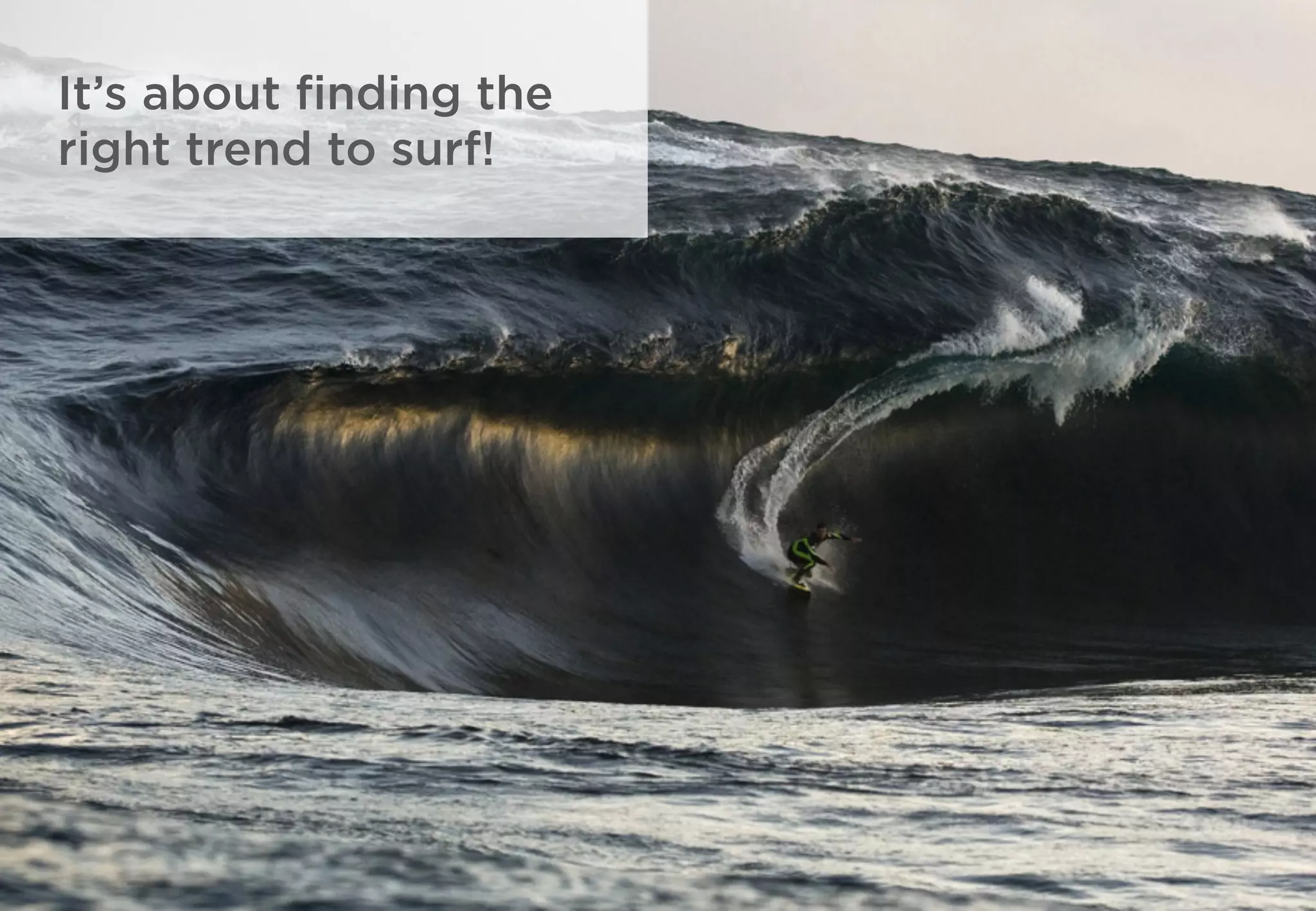 It’s about ﬁnding the
right trend to surf!
 