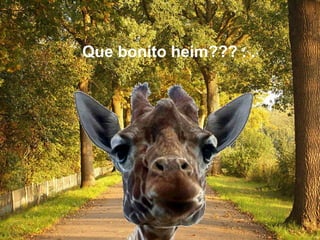 Que bonito heim??? . . 