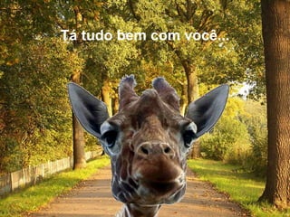 Tá tudo bem com você... 