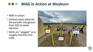 WAG in Action at Weyburn
• WAG in action
• Control valves allow for
the periodic changeover
from CO2 to water
injection
• Wells are “wagged” on a
roughly monthly time
scale Well
Water
CO2
 
