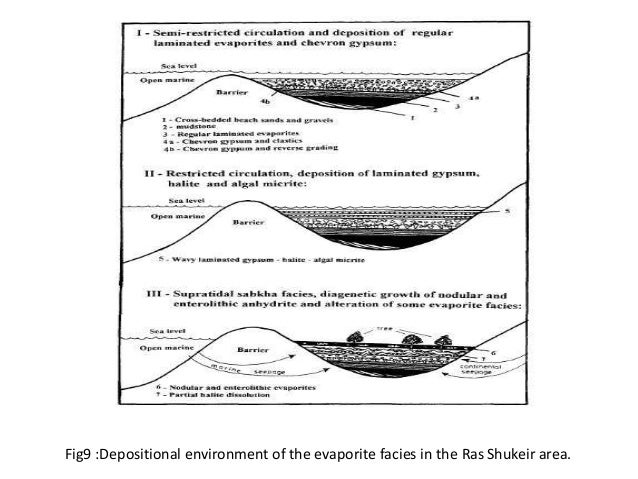 3319135112 evaporites a geological compendium oladimeji evaporite presentation 3319135112 evaporites a geological compendium oladimeji evaporite presentation