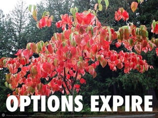 Photo	
  by	
  Stoic	
  Medita-on	
  -­‐	
  Crea-ve	
  Commons	
  A2ribu-on-­‐NonCommercial-­‐ShareAlike	
  License	
  	
  h2p://www.ﬂickr.com/photos/63463553@N07	
   Created	
  with	
  Haiku	
  Deck	
  
 