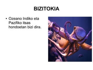 BIZITOKIA
● Ozeano Indiko eta
Pazifiko itsas
hondoetan bizi dira.
 