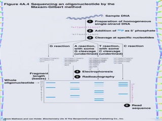 •Principle
A graphical demonstration
10
 