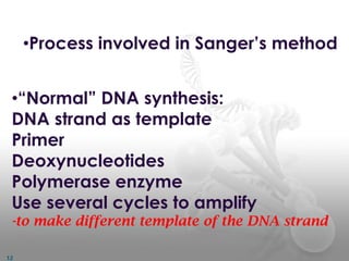 •“Normal” DNA synthesis:
DNA strand as template
Primer
Deoxynucleotides
Polymerase enzyme
Use several cycles to amplify
-to make different template of the DNA strand
•Process involved in Sanger’s method
12
 