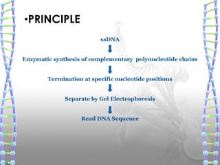 •PRINCIPLE
ssDNA
Enzymatic synthesis of complementary polynucleotide chains
Termination at specific nucleotide positions
Separate by Gel Electrophoresis
Read DNA Sequence
15
 