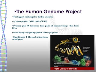 •The Human Genome Project
• The biggest challenge for the life sciences
• 15 years project (NIH, DOE of USA)
• Primary goal  Sequence base pairs of human beings that form
DNA
• Identifying & mapping approx. 20K-25K genes
• Significance  Physical & functional
•standpoint
20
 