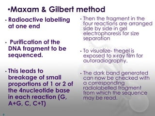 • Radioactive labelling
at one end
• Purification of the
DNA fragment to be
sequenced.
• This leads to
breakage of small
proportions of 1 or 2 of
the 4nucleotide base
in each reaction (G,
A+G, C, C+T)
•Maxam & Gilbert method
• Then the fragment in the
four reactions are arranged
side by side in gel
electrophoresis for size
separation
• To visualize- thegel is
exposed to x-ray film for
autoradiography.
• The dark band generated
can now be checked with
a corresponding
radiolabelled fragment
from which the sequence
may be read.
9
 