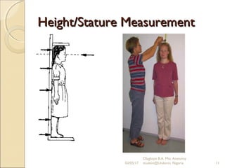 Height In Humans Anthropometry and Physical Charateristics in man | PPT