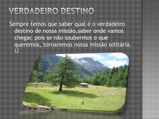 Sempre temos que saber qual é o verdadeiro
destino de nossa missão,saber onde vamos
chegar, pois se não soubermos o que
queremos, tornaremos nossa missão solitária.
12
 