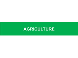 AGRICULTURE
 