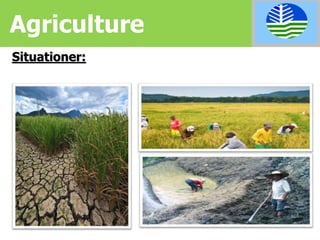 Situationer:
Agriculture
 