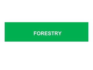 FORESTRY
 