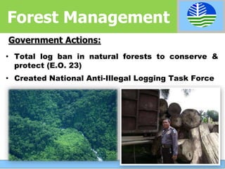 Government Actions:
• Total log ban in natural forests to conserve &
protect (E.O. 23)
• Created National Anti-Illegal Logging Task Force
Forest Management
 
