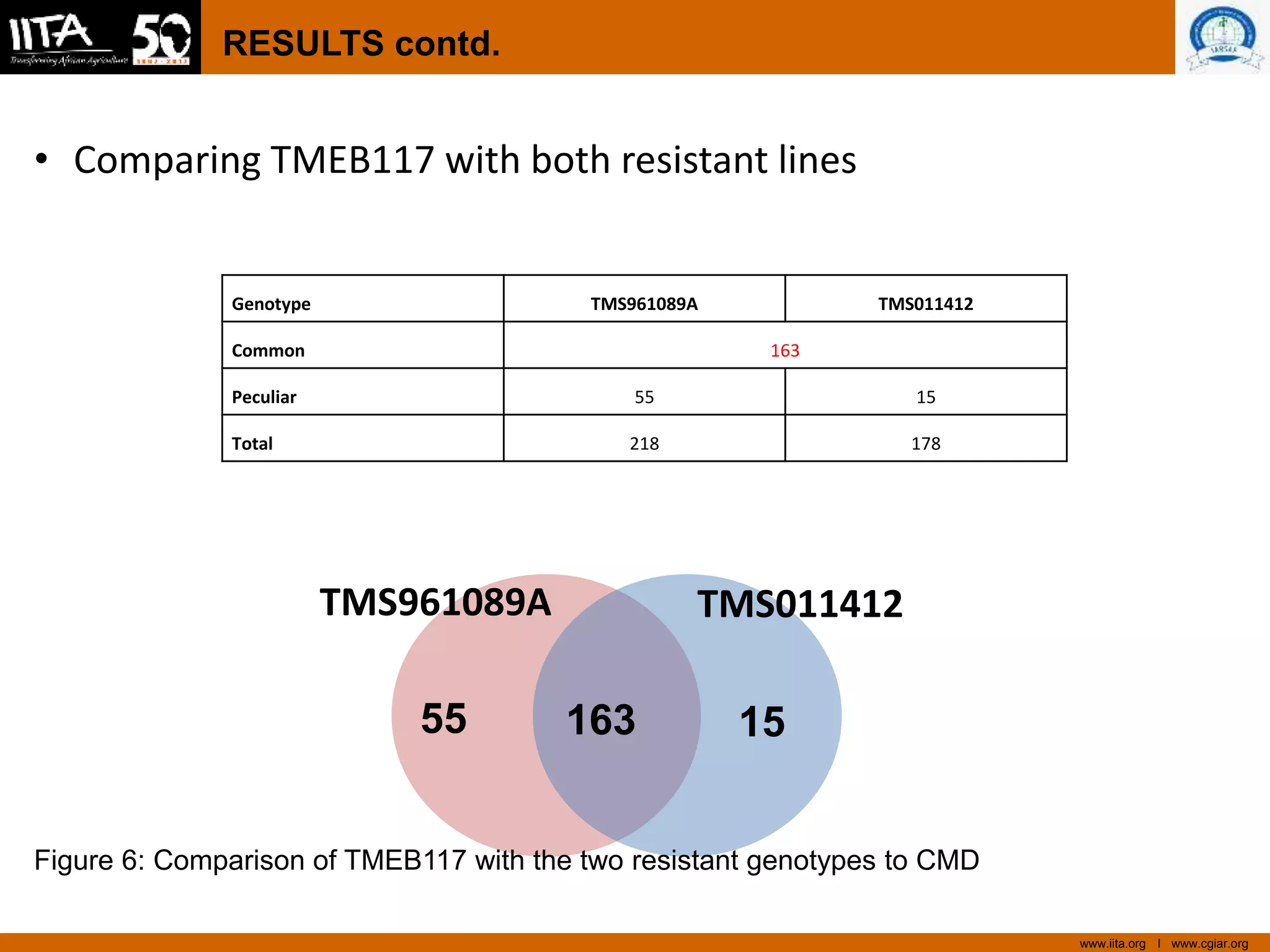 www.iita.org I www.cgiar.org
RESULTS contd.
• Comparing TMEB117 with both resistant lines
Genotype TMS961089A TMS011412
Common 163
Peculiar 55 15
Total 218 178
1516355
TMS961089A TMS011412
Figure 6: Comparison of TMEB117 with the two resistant genotypes to CMD
 