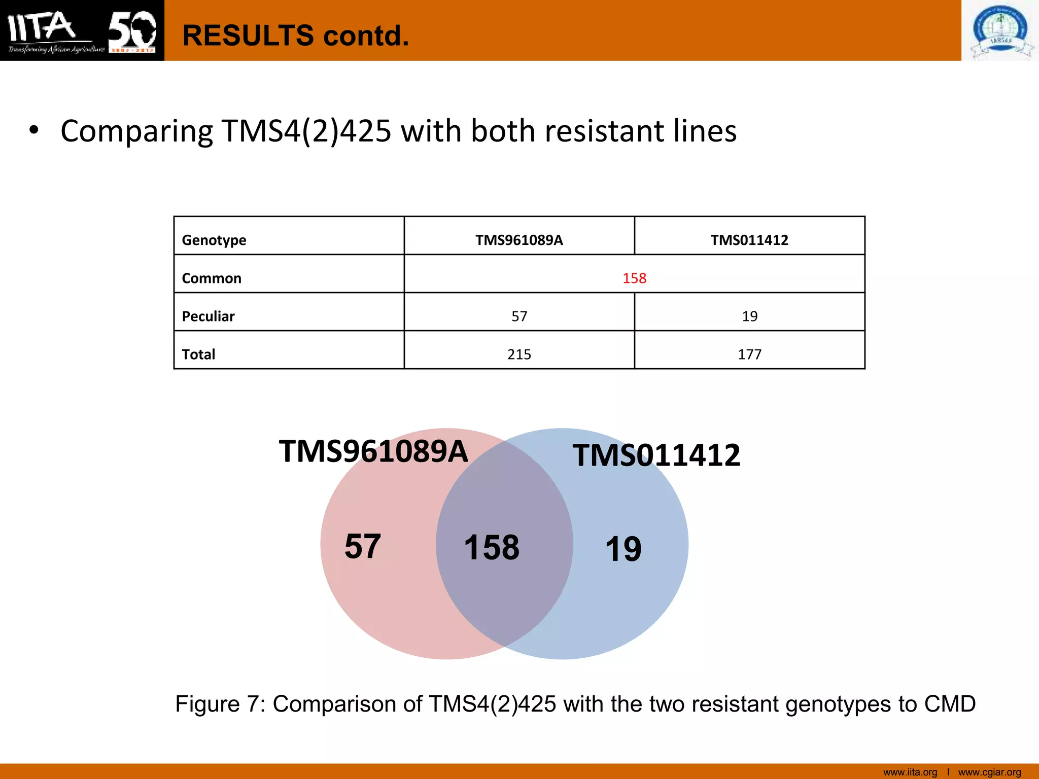 www.iita.org I www.cgiar.org
RESULTS contd.
• Comparing TMS4(2)425 with both resistant lines
Genotype TMS961089A TMS011412
Common 158
Peculiar 57 19
Total 215 177
1915857
TMS961089A TMS011412
Figure 7: Comparison of TMS4(2)425 with the two resistant genotypes to CMD
 
