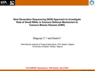 www.iita.org I www.cgiar.org
Next Generation Sequencing (NGS) Approach to Investigate
Role of Small RNAs in Cassava Defense Mechanism to
Cassava Mosaic Disease (CMD)
Olagunju T.1,2 and Gisel A.1
1International Institute of Tropical Agriculture, IITA, Ibadan, Nigeria.
2University of Ibadan, Ibadan, Nigeria.
21st IARSAF Symposium, IITA Ibadan, April 2018
 