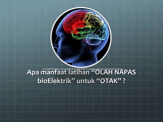 Apa manfaat latihan “OLAH NAPAS
bioElektrik” untuk “OTAK” ?
http://jeffhurtblog.com/2009/12/16/four-principles-for-planning-brain-friendly-annual-meetings/
 