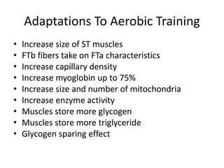 Adaptations To Aerobic Training
• Increase size of ST muscles
• FTb fibers take on FTa characteristics
• Increase capillary density
• Increase myoglobin up to 75%
• Increase size and number of mitochondria
• Increase enzyme activity
• Muscles store more glycogen
• Muscles store more triglyceride
• Glycogen sparing effect
 