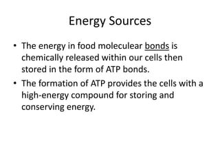 Energy Sources
• The energy in food moleculear bonds is
chemically released within our cells then
stored in the form of ATP bonds.
• The formation of ATP provides the cells with a
high-energy compound for storing and
conserving energy.
 