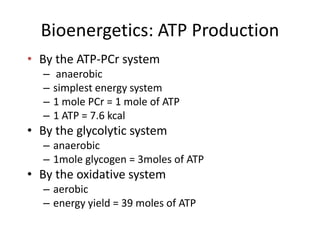 Bioenergetics: ATP Production
• By the ATP-PCr system
– anaerobic
– simplest energy system
– 1 mole PCr = 1 mole of ATP
– 1 ATP = 7.6 kcal
• By the glycolytic system
– anaerobic
– 1mole glycogen = 3moles of ATP
• By the oxidative system
– aerobic
– energy yield = 39 moles of ATP
 
