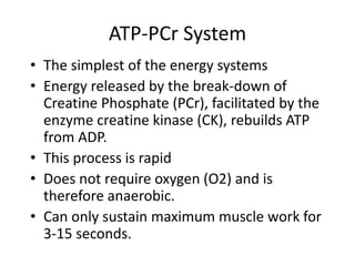 ATP-PCr System
• The simplest of the energy systems
• Energy released by the break-down of
Creatine Phosphate (PCr), facilitated by the
enzyme creatine kinase (CK), rebuilds ATP
from ADP.
• This process is rapid
• Does not require oxygen (O2) and is
therefore anaerobic.
• Can only sustain maximum muscle work for
3-15 seconds.
 