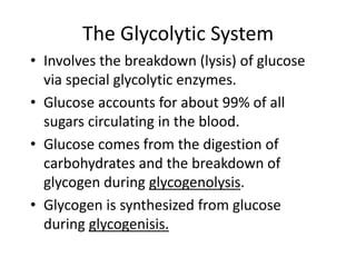 The Glycolytic System
• Involves the breakdown (lysis) of glucose
via special glycolytic enzymes.
• Glucose accounts for about 99% of all
sugars circulating in the blood.
• Glucose comes from the digestion of
carbohydrates and the breakdown of
glycogen during glycogenolysis.
• Glycogen is synthesized from glucose
during glycogenisis.
 
