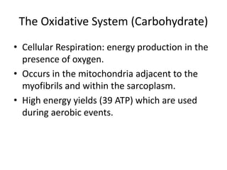 The Oxidative System (Carbohydrate)
• Cellular Respiration: energy production in the
presence of oxygen.
• Occurs in the mitochondria adjacent to the
myofibrils and within the sarcoplasm.
• High energy yields (39 ATP) which are used
during aerobic events.
 