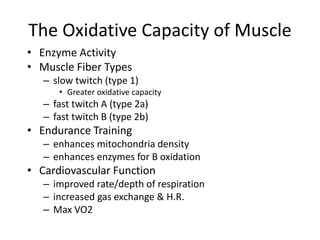 The Oxidative Capacity of Muscle
• Enzyme Activity
• Muscle Fiber Types
– slow twitch (type 1)
• Greater oxidative capacity
– fast twitch A (type 2a)
– fast twitch B (type 2b)
• Endurance Training
– enhances mitochondria density
– enhances enzymes for B oxidation
• Cardiovascular Function
– improved rate/depth of respiration
– increased gas exchange & H.R.
– Max VO2
 