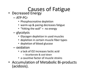 Causes of Fatigue
• Decreased Energy
– ATP-PCr
• Phosphocreatine depletion
• warm-up & pacing decreases fatigue
• “hitting the wall” = no energy
– glycolysis
• Glycogen depletion in used muscles
• depletion in certain muscle fiber types
• depletion of blood glucose
– oxidation
• a lack of O2 increases lactic acid
– bicarbonate & cool down
• a causitive factor of muscle strains
• Accumulation of Metabolic Bi-products
(acidosis).
 