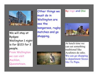 Olai &amp; inge orange brochure 