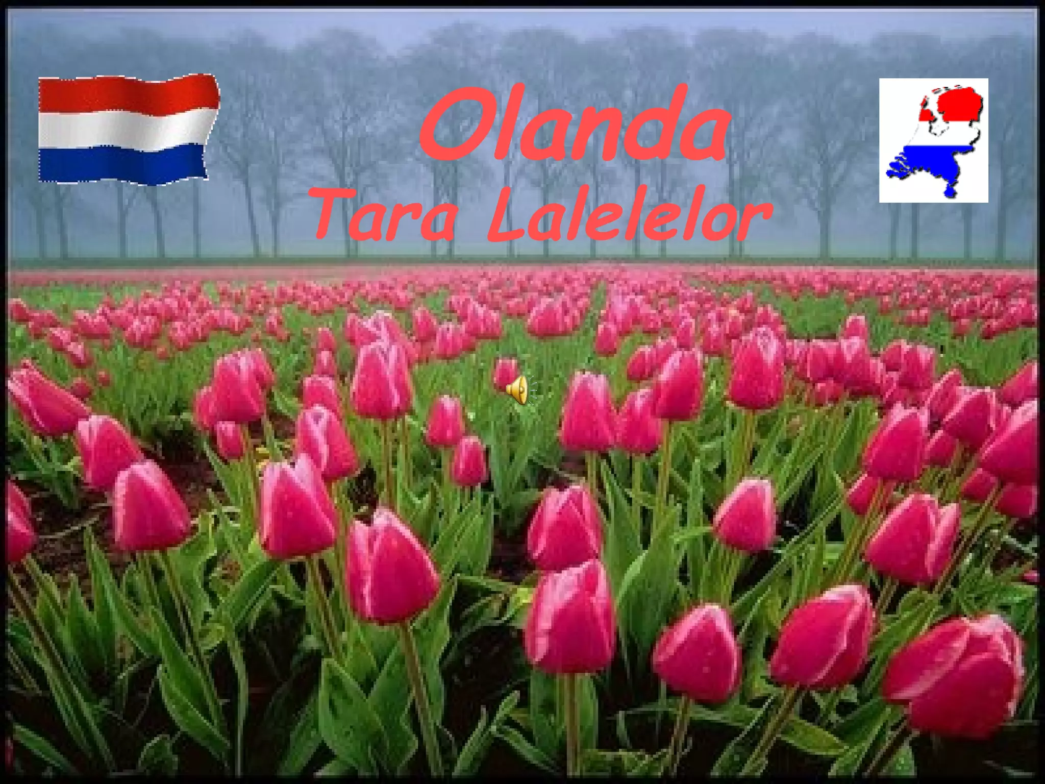 JOYCE MEYER, image size:2048x1536