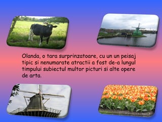 Olanda, o tara surprinzatoare, cu un un peisaj tipic si nenumarate atractii a fost de-a lungul timpului subiectul multor picturi si alte opere de arta .  