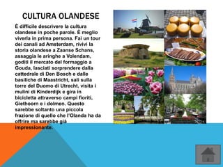 CULTURA OLANDESE
È difficile descrivere la cultura
olandese in poche parole. È meglio
viverla in prima persona. Fai un tour
dei canali ad Amsterdam, rivivi la
storia olandese a Zaanse Schans,
assaggia le aringhe a Volendam,
goditi il mercato del formaggio a
Gouda, lasciati sorprendere dalla
cattedrale di Den Bosch e dalle
basiliche di Maastricht, sali sulla
torre del Duomo di Utrecht, visita i
mulini di Kinderdijk e gira in
bicicletta attraverso campi fioriti,
Giethoorn e i dolmen. Questo
sarebbe soltanto una piccola
frazione di quello che l’Olanda ha da
offrire ma sarebbe già
impressionante.
 