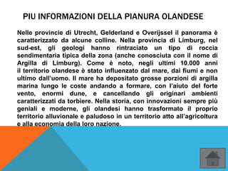 PIU INFORMAZIONI DELLA PIANURA OLANDESE
Nelle provincie di Utrecht, Gelderland e Overijssel il panorama è
caratterizzato da alcune colline. Nella provincia di Limburg, nel
sud-est, gli geologi hanno rintraciato un tipo di roccia
sendimentaria tipica della zona (anche conosciuta con il nome di
Argilla di Limburg). Come è noto, negli ultimi 10.000 anni
il territorio olandese è stato influenzato dal mare, dai fiumi e non
ultimo dall’uomo. Il mare ha depositato grosse porzioni di argilla
marina lungo le coste andando a formare, con l’aiuto del forte
vento, enormi dune, e cancellando gli originari ambienti
caratterizzati da torbiere. Nella storia, con innovazioni sempre più
geniali e moderne, gli olandesi hanno trasformato il proprio
territorio alluvionale e paludoso in un territorio atto all’agricoltura
e alla economia della loro nazione.
 