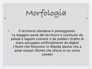 Morfologia
     Il territorio olandese è pianeggiante.
La maggior parte del territorio è costituito da
paludi e lagune costiere o da polders (tratto di
   mare asciugato artiﬁcialmente da dighe)
 I ﬁumi che ﬁniscono in Olanda danno vita a
  ampi estuari (ﬁume che sfocia in un unico
                      canale)
 