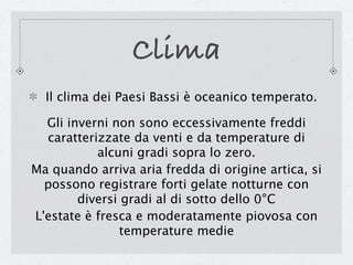 Clima
  Il clima dei Paesi Bassi è oceanico temperato.

  Gli inverni non sono eccessivamente freddi
  caratterizzate da venti e da temperature di
           alcuni gradi sopra lo zero.
Ma quando arriva aria fredda di origine artica, si
  possono registrare forti gelate notturne con
        diversi gradi al di sotto dello 0°C
L'estate è fresca e moderatamente piovosa con
                temperature medie
 