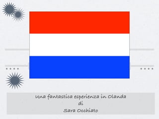 Una fantastica esperienza in Olanda
                 di
          Sara Occhiato
 