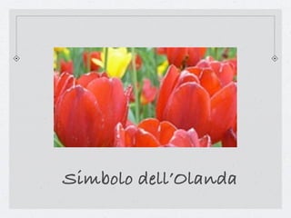 Simbolo dell’Olanda
 