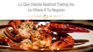 Lo Que Olanda Seafood Trading Inc.
Le Ofrece A Tu Negocio.
 