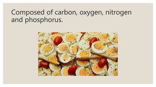 Composed of carbon, oxygen, nitrogen
and phosphorus.
 